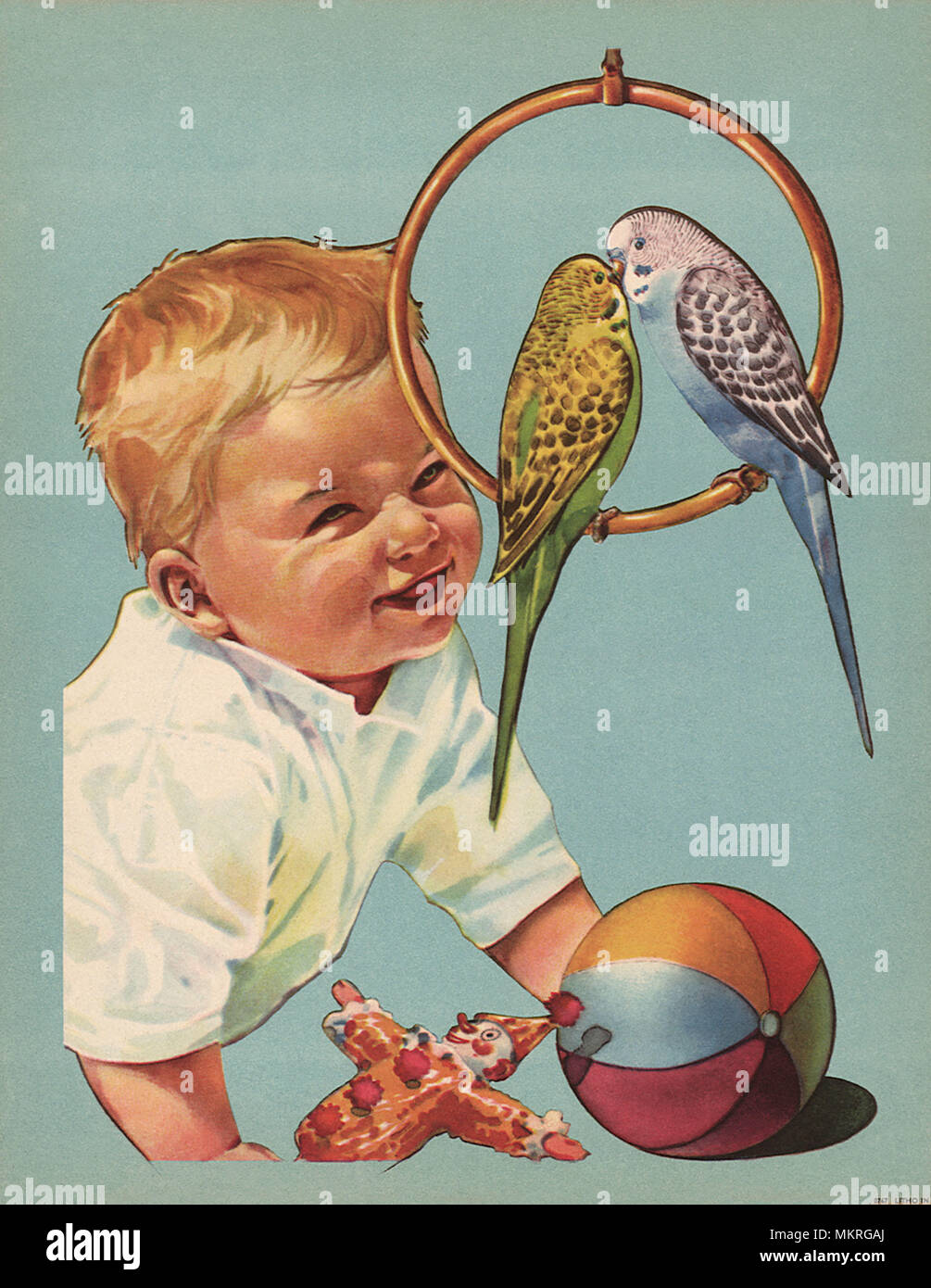 Bébés oiseaux et enfants Banque de photographies et d'images à haute  résolution - Alamy