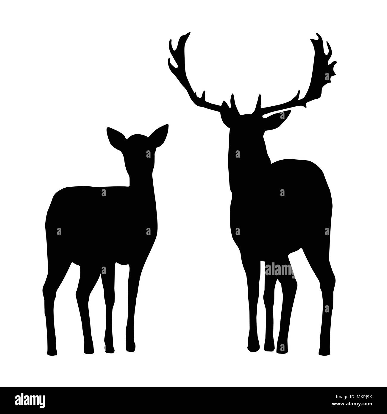 Vector silhouettes de cerfs et hind, isolé sur fond blanc Illustration de Vecteur
