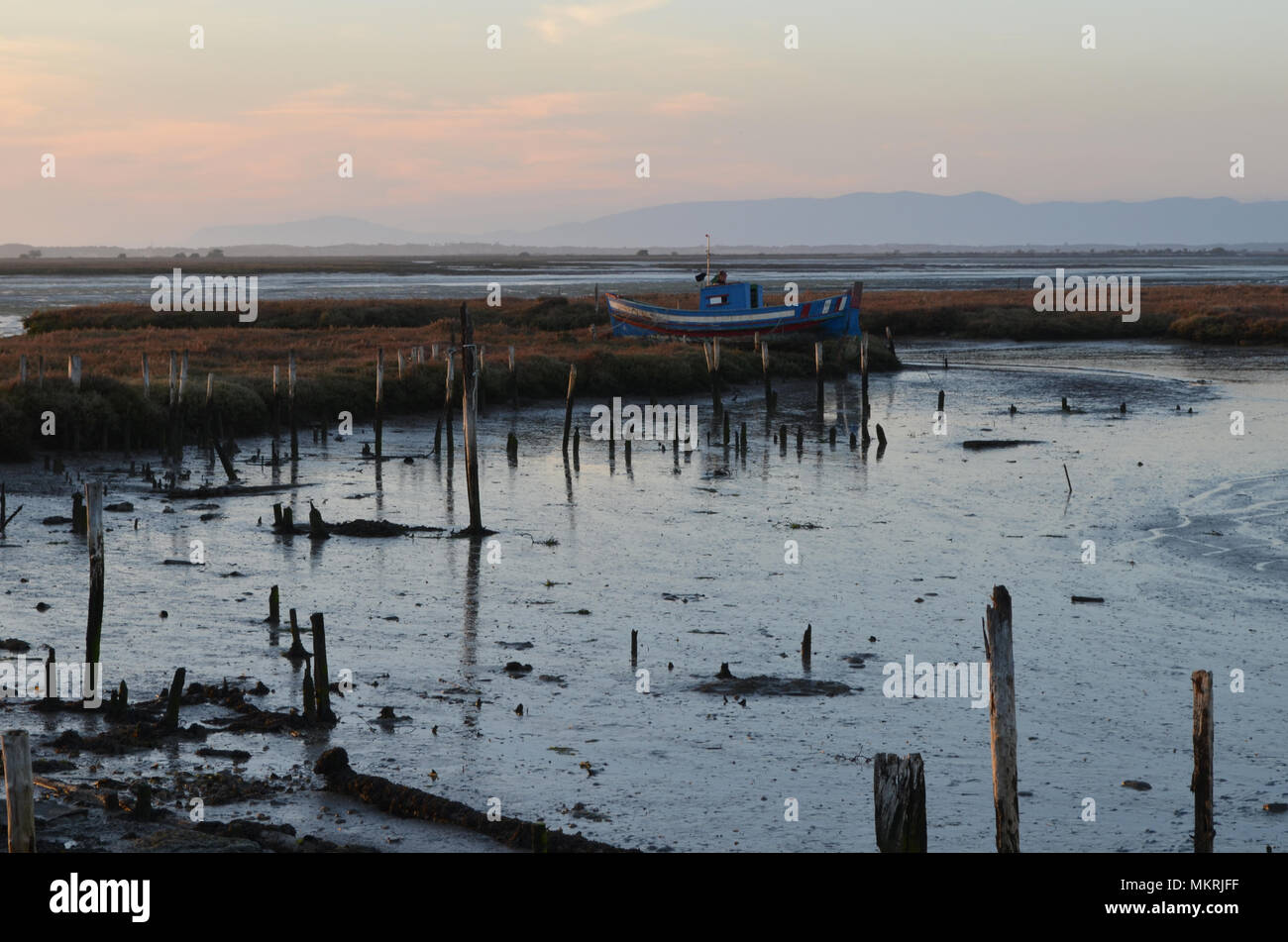 Marée basse à l'palaphitic port de pêche artisanale de Carrasqueira, estuaire de la rivière Sado, Portugal Banque D'Images