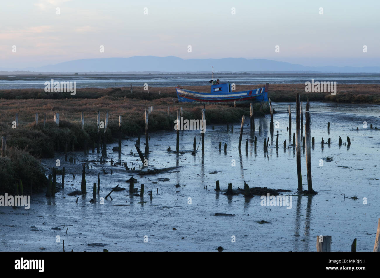 Marée basse à l'palaphitic port de pêche artisanale de Carrasqueira, estuaire de la rivière Sado, Portugal Banque D'Images