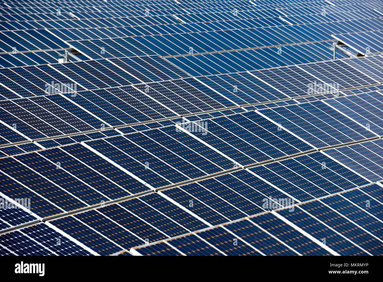 Gros plan d'une rangée de panneaux solaires dans un champ ouvert avec de multiples panneaux d'énergie solaire, Calasparra, Murcia, Espagne Banque D'Images