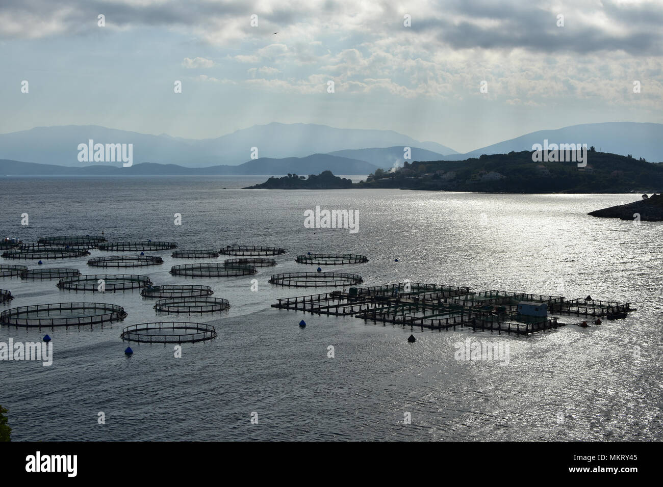 Silhouette d'élevage de poissons dans les eaux calmes de la mer Ionienne, près de Kassiopi, île de Corfou, Grèce Banque D'Images