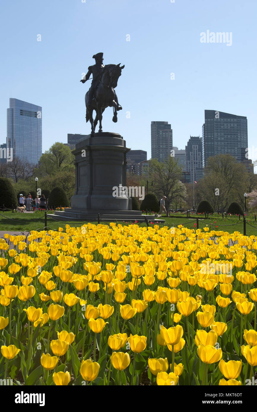 La statue de George Washington et quelques tulipes jaunes dans les jardins publics de Boston, Boston, Massachusetts, USA Banque D'Images