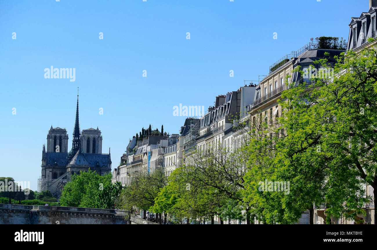 La cathédrale Notre Dame, Paris, France Banque D'Images