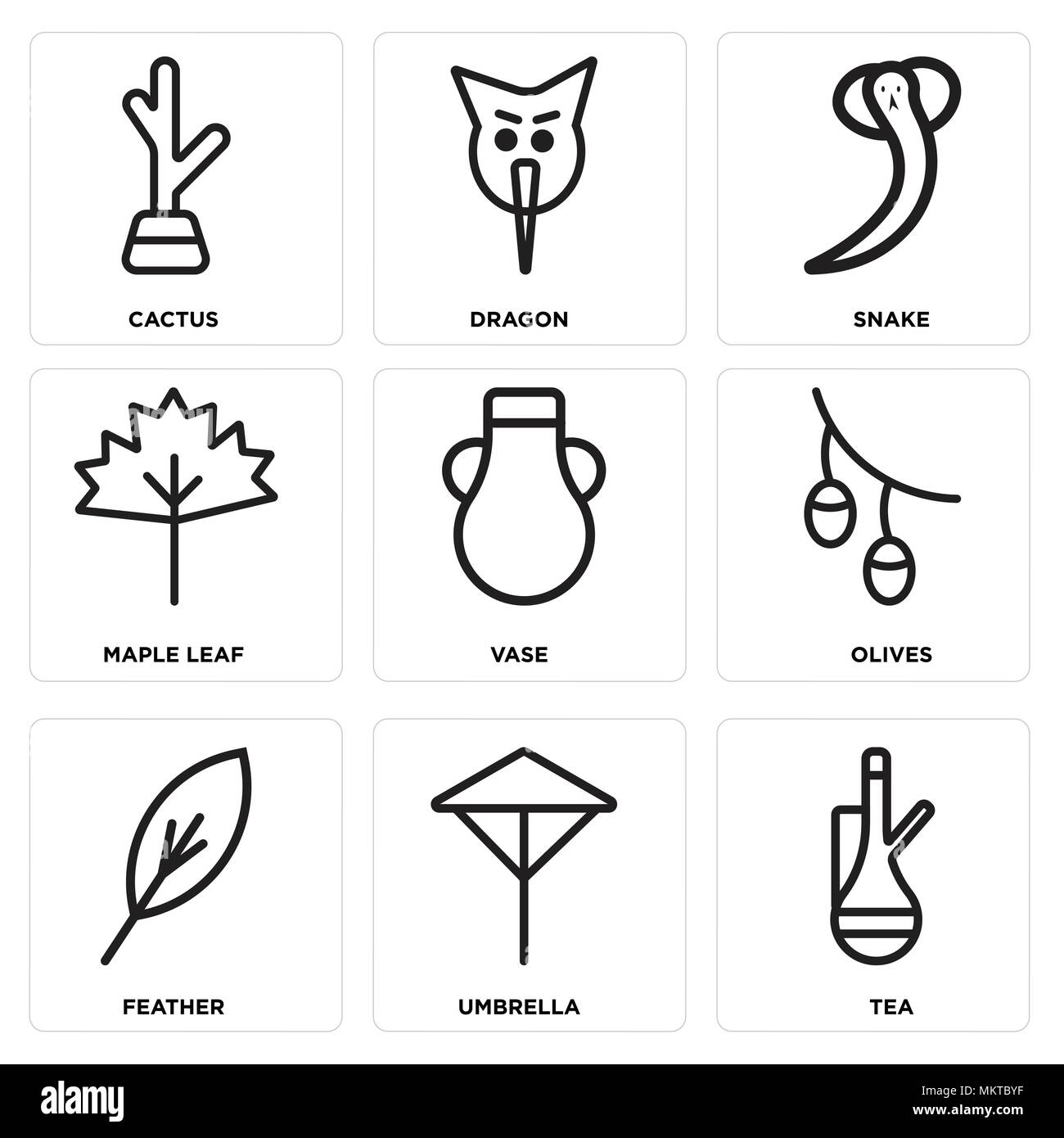 Ensemble de 9 icônes modifiable simple comme le thé, le parapluie, Feather, olives, vase, Maple Leaf, Serpent, Dragon, Cactus, peut être utilisé pour le mobile, web Illustration de Vecteur