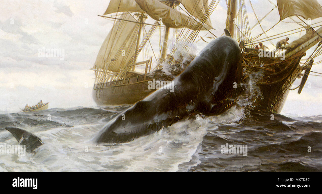 L'Essex Banque D'Images L'Essex Banque D'Images