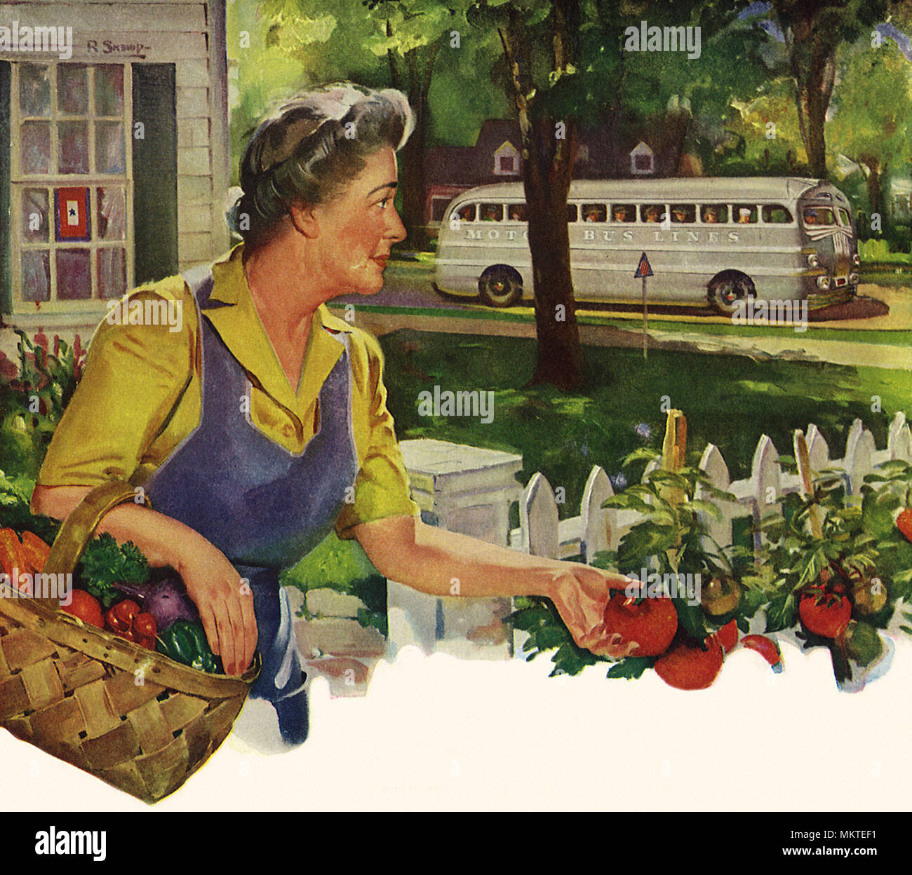 Montres femme recrute sur le bus tout en ramassant des tomates Banque D'Images