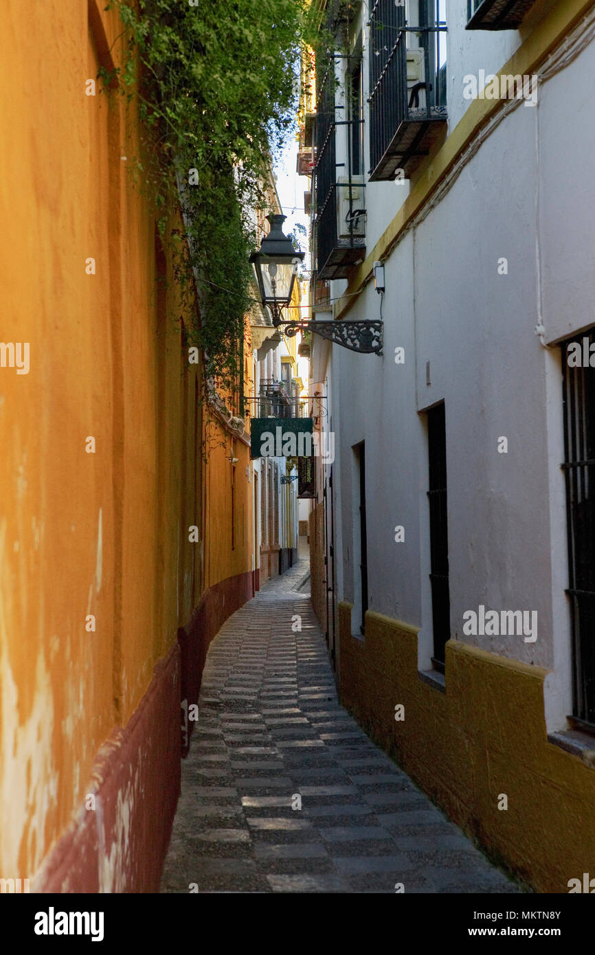 Fotografía de la vida Banque de photographies et d’images à haute ...