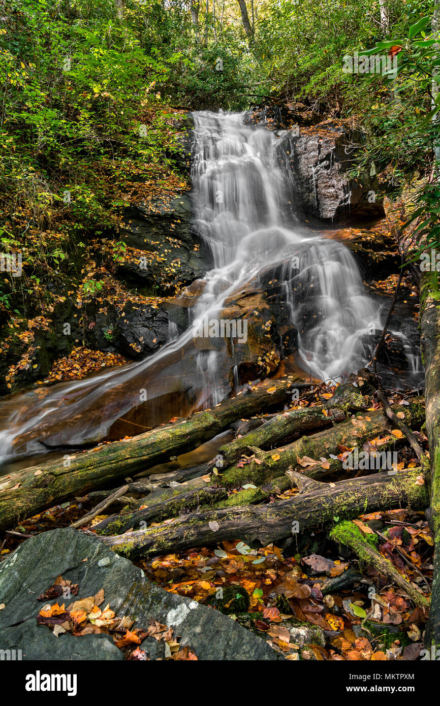 Log Hollow Falls est une jolie cascade de 25 pieds dans l'ouest de la Caroline du Nord. Vu ici à l'automne. Banque D'Images