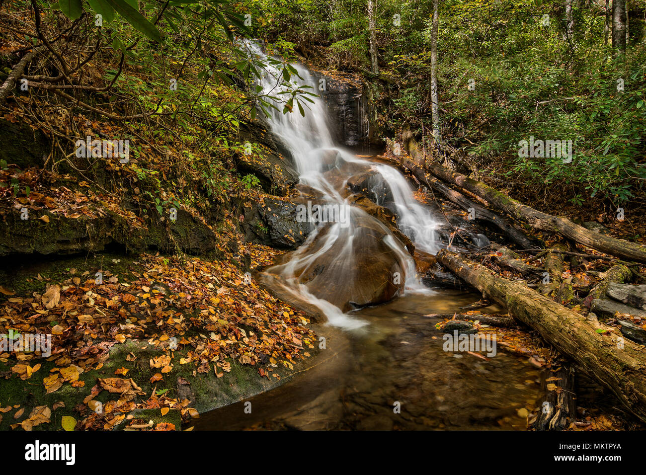 Log Hollow Falls est une jolie cascade de 25 pieds dans l'ouest de la Caroline du Nord. Vu ici à l'automne. Banque D'Images