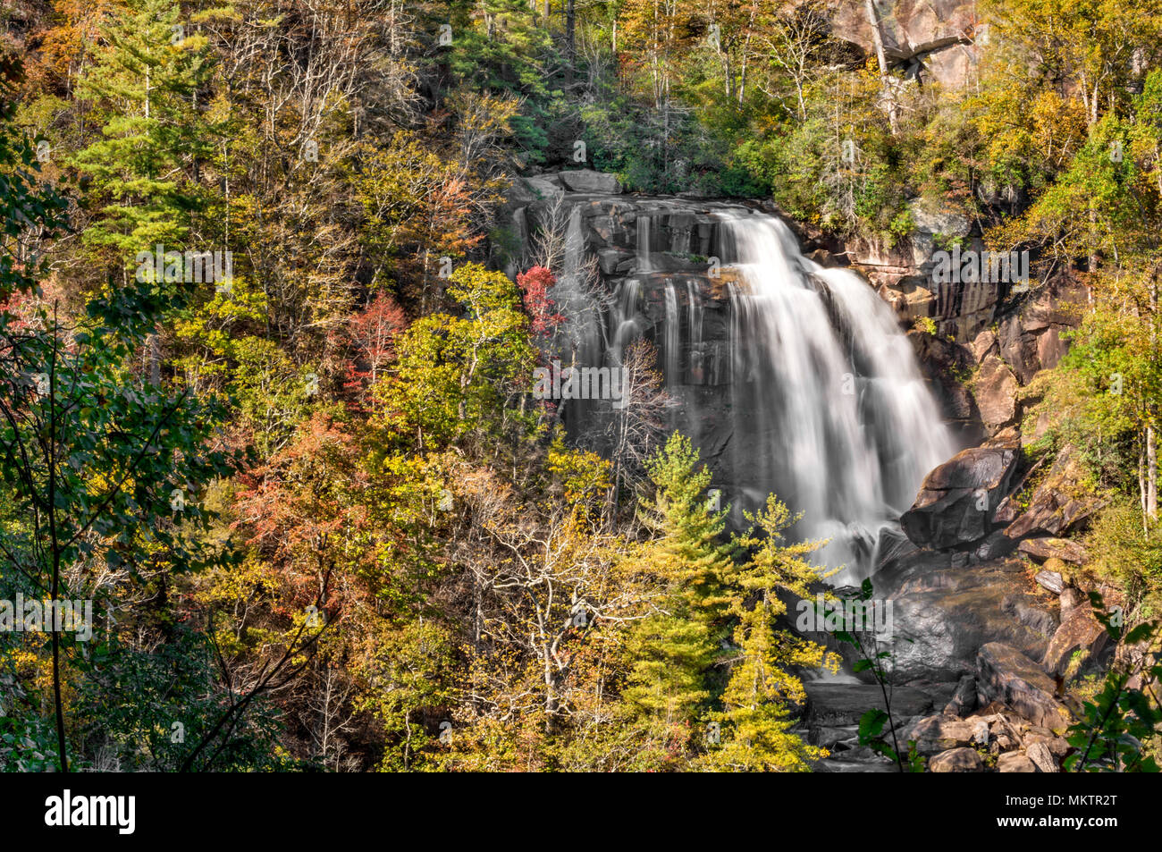 Chutes d'eau vive est une magnifique cascade de 400 pieds à l'ouest de la Caroline du Nord. Vu ici est juste la partie supérieure à l'automne. Banque D'Images