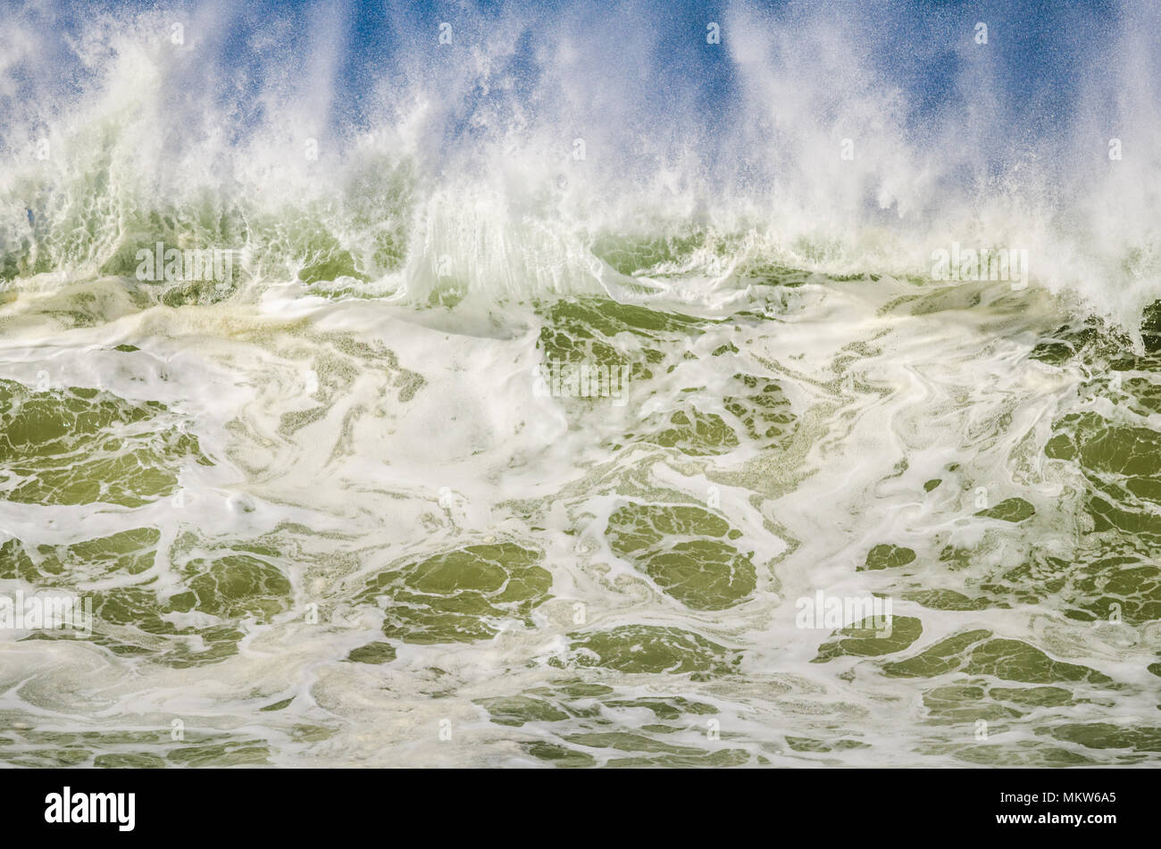 Grande vague de crevasses sur le point de se briser sur la plage Banque D'Images