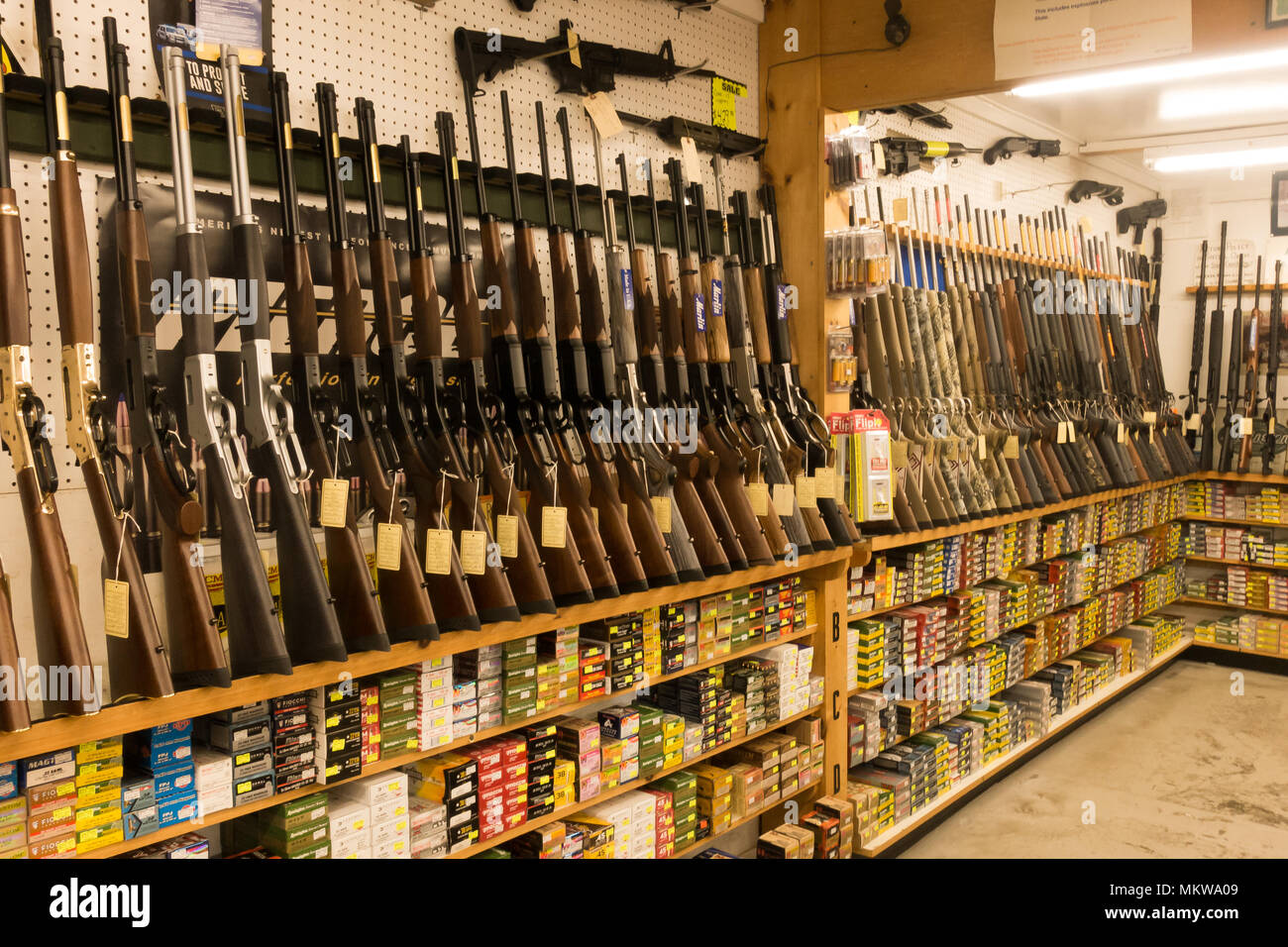 Un écran de fusils et munitions dans un magasin d'armes dans les Adirondacks, NY USA Banque D'Images