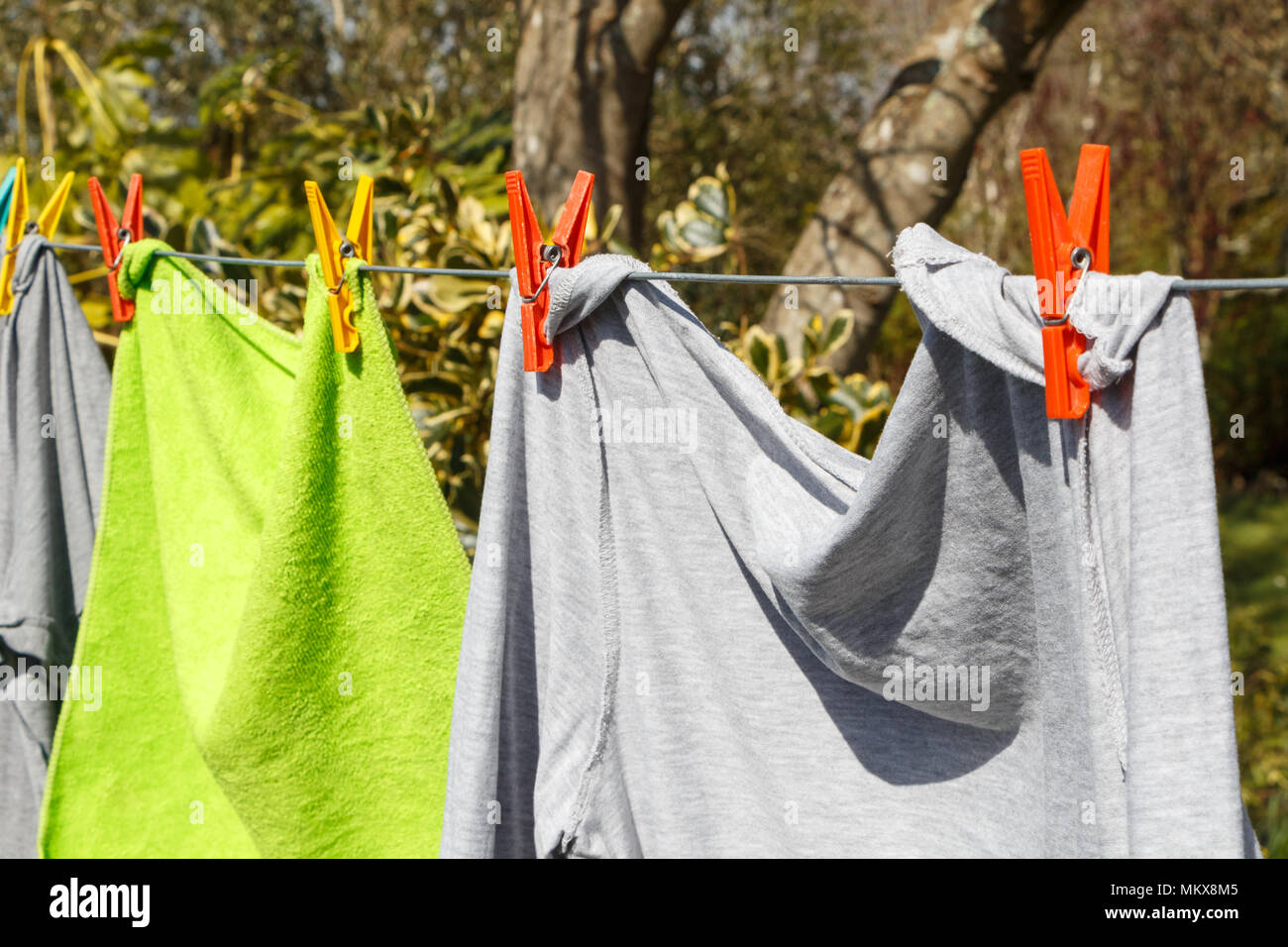 Lave-ligne dans un jardin avec Grey T-shirt et une serviette verte Banque D'Images