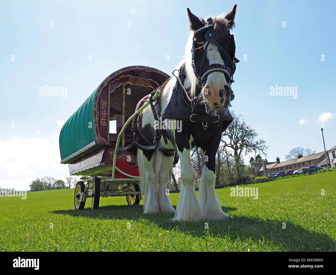 Vue vers le bas bas de Gypsy horse avec 'traditionnels' Bowtop ou roulotte itinérante se détachant sur le ciel en une déposée en Cumbria, Angleterre, Royaume-Uni Banque D'Images