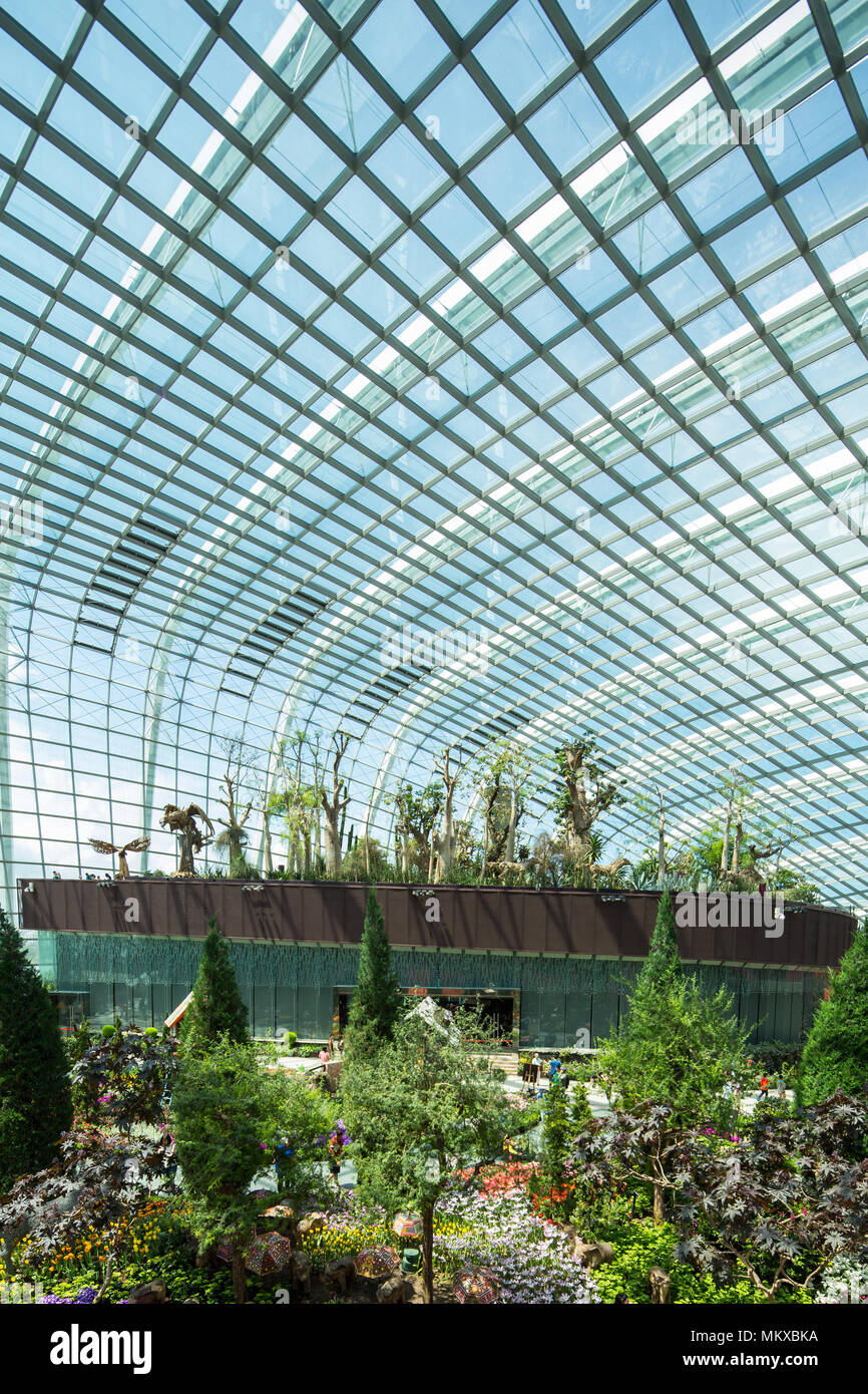 Vue intérieure verticale du Flower Dome, Gardens by the Bay, une destination populaire pour les touristes locaux et internationaux. Singapour. Banque D'Images
