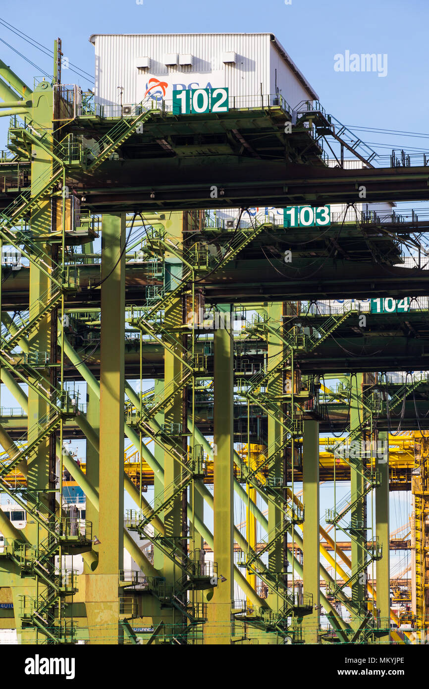 Vue verticale rapprochée du processus de levage des grues-conteneurs extérieures. Singapour. Banque D'Images