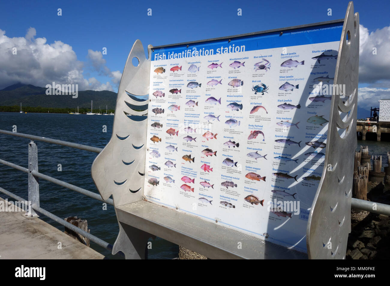 Station d'identification des poissons fournis par l'Agence des pêches du gouvernement, Cairns, Queensland, Australie. Pas de PR Banque D'Images