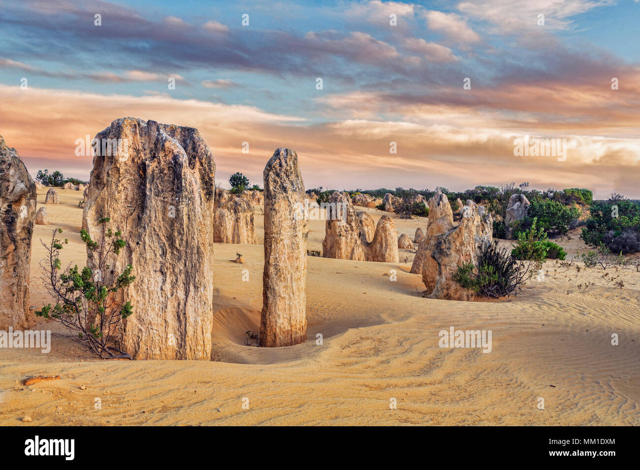 Le Parc National de Nambung, Australie occidentale, également connu sous le nom de Three Pines. Banque D'Images