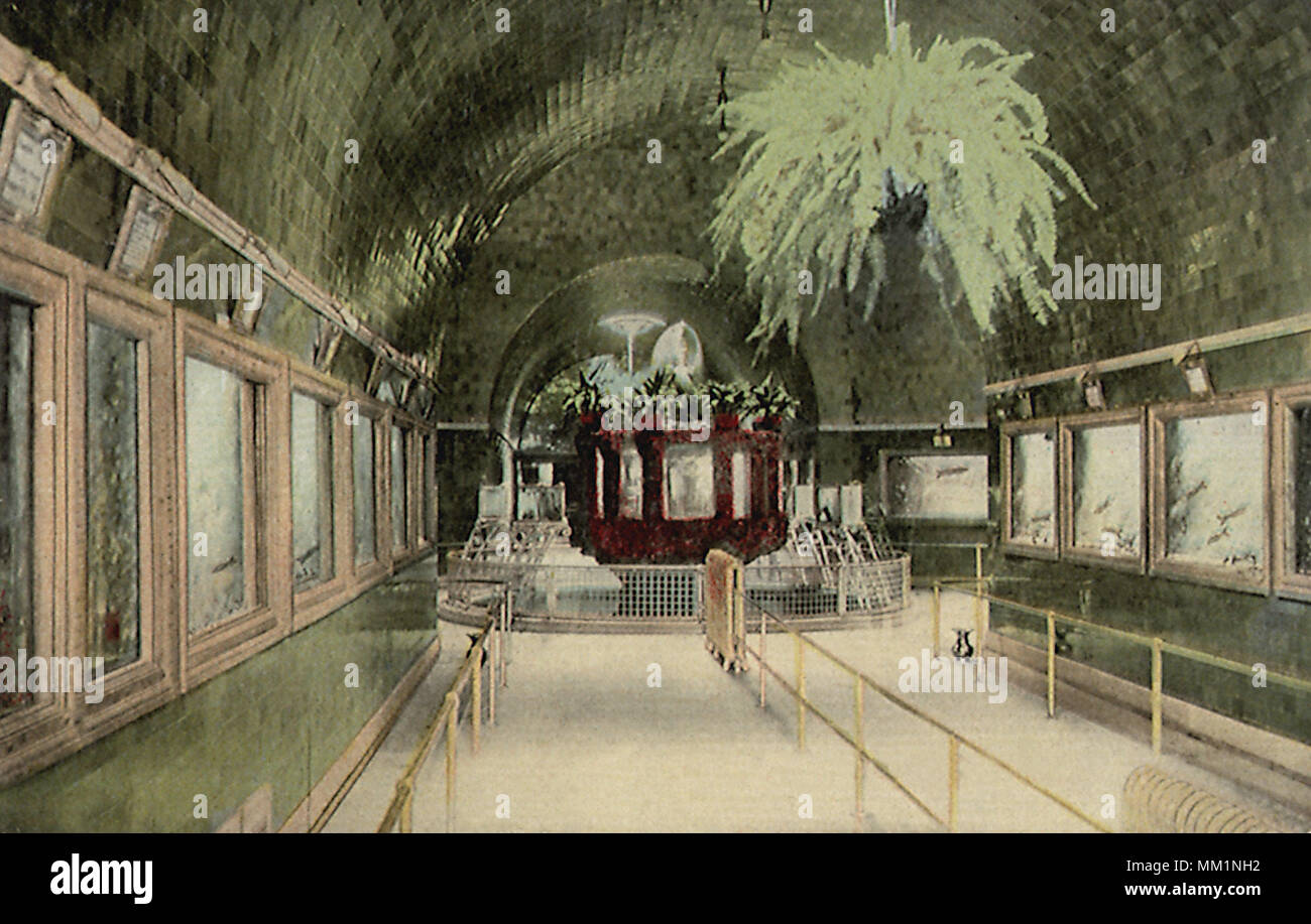 Intérieur de l'Aquarium à Belle Isle. Detroit. 1910 Banque D'Images