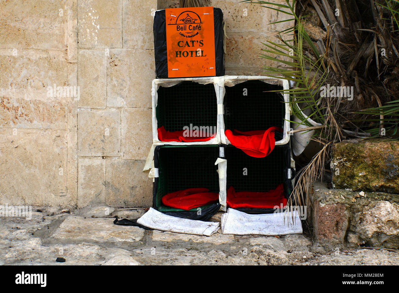 Cat's hotel photographié à Tel Aviv, Israël Banque D'Images