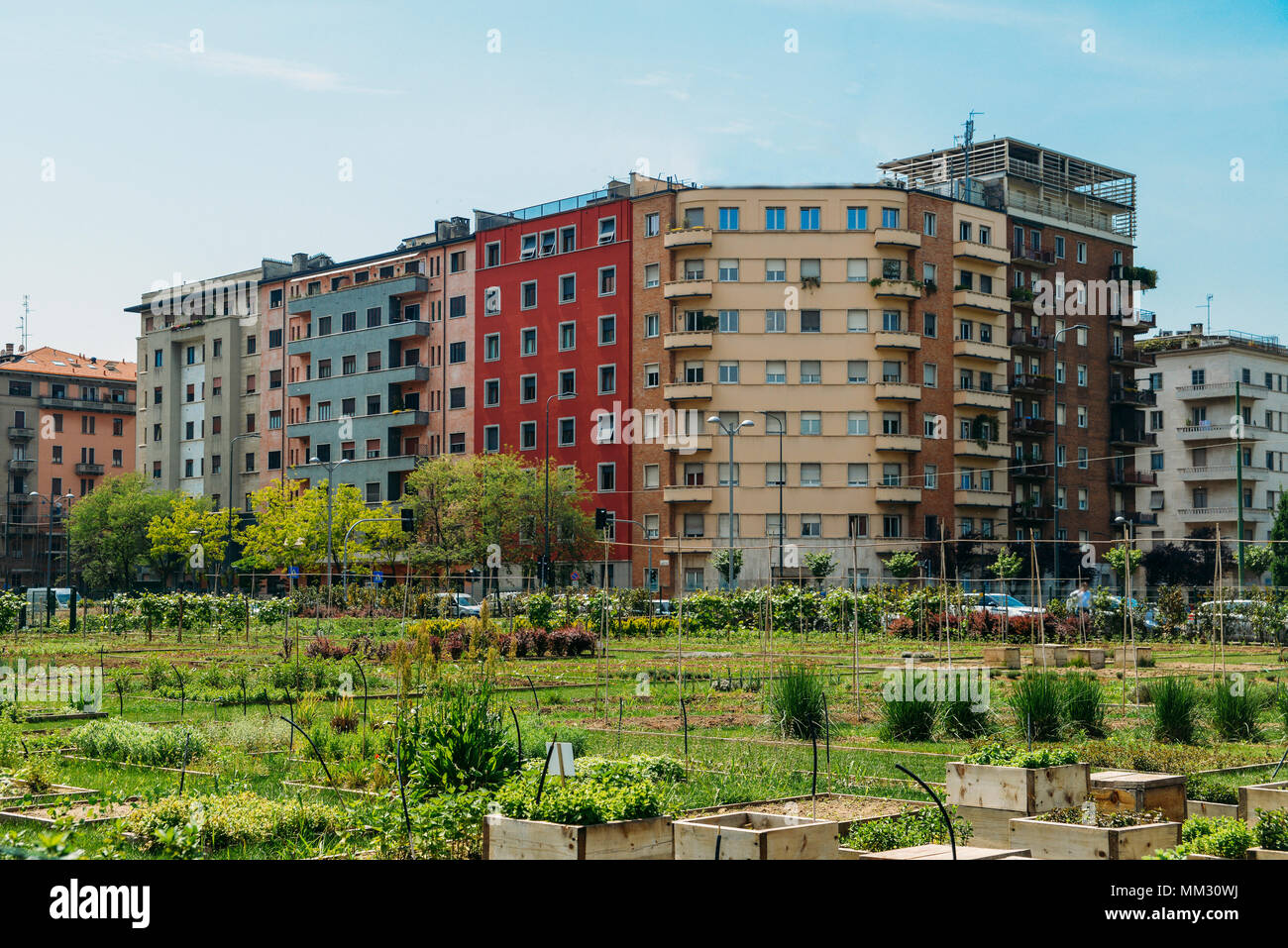 Concept de durabilité de l'agriculture urbaine, capturés dans Milan, Lombardie, Italie. Banque D'Images