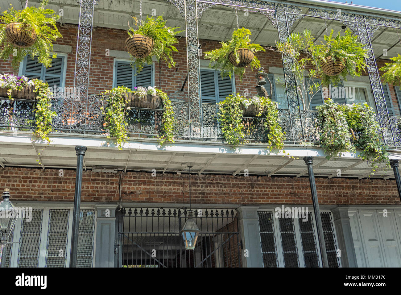 La pendaison des jardinières et les jardinières suspendues à un balcon en fer forgé dans le quartier français de La Nouvelle-Orléans, Louisiane Banque D'Images