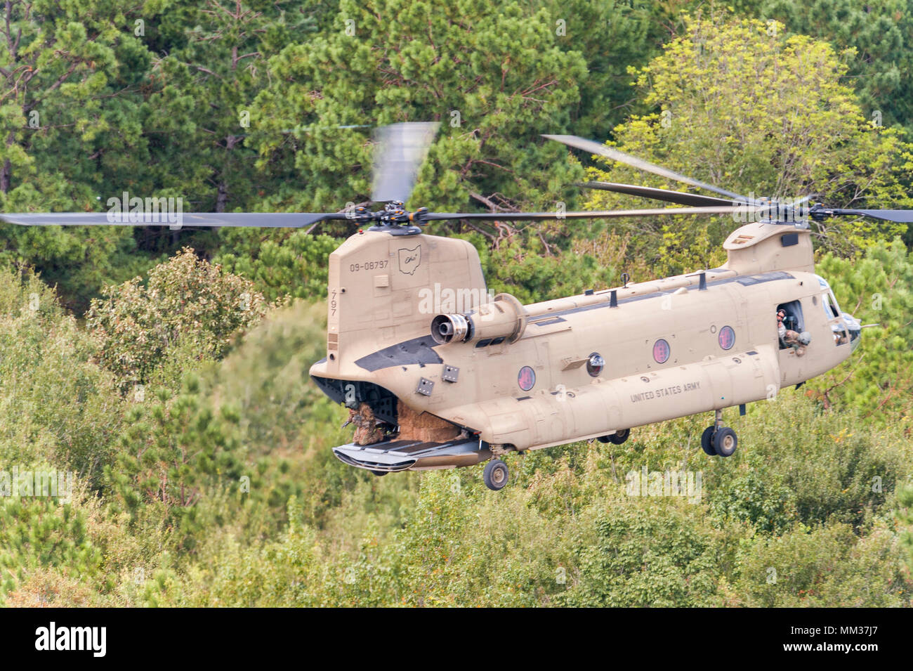 La Garde nationale de l'Ohio un CH-47 Chinook offre de foin pour le bétail échoués après l'ouragan Harvey inondations près de Beaumont, Texas, le 5 septembre 2017. (U.S. La Garde nationale de l'armée photo par le Sgt. 1re classe Malcolm McClendon). Banque D'Images