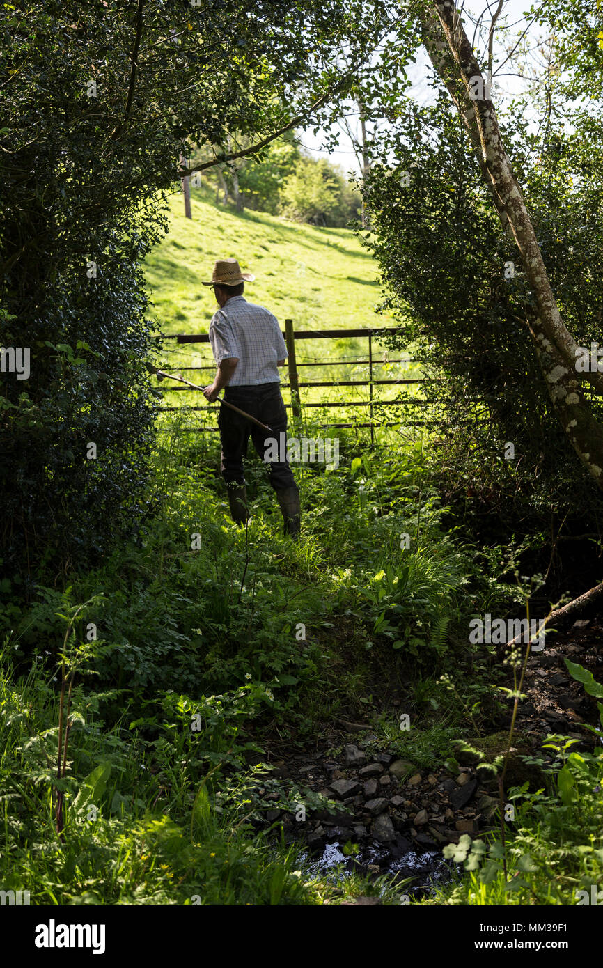 Combien de miles par jour dois-je besoin de marcher pour frapper 1000 ,randonnées,Balades,pays,Devon,Dunsford Teign Valley,UK, Banque D'Images