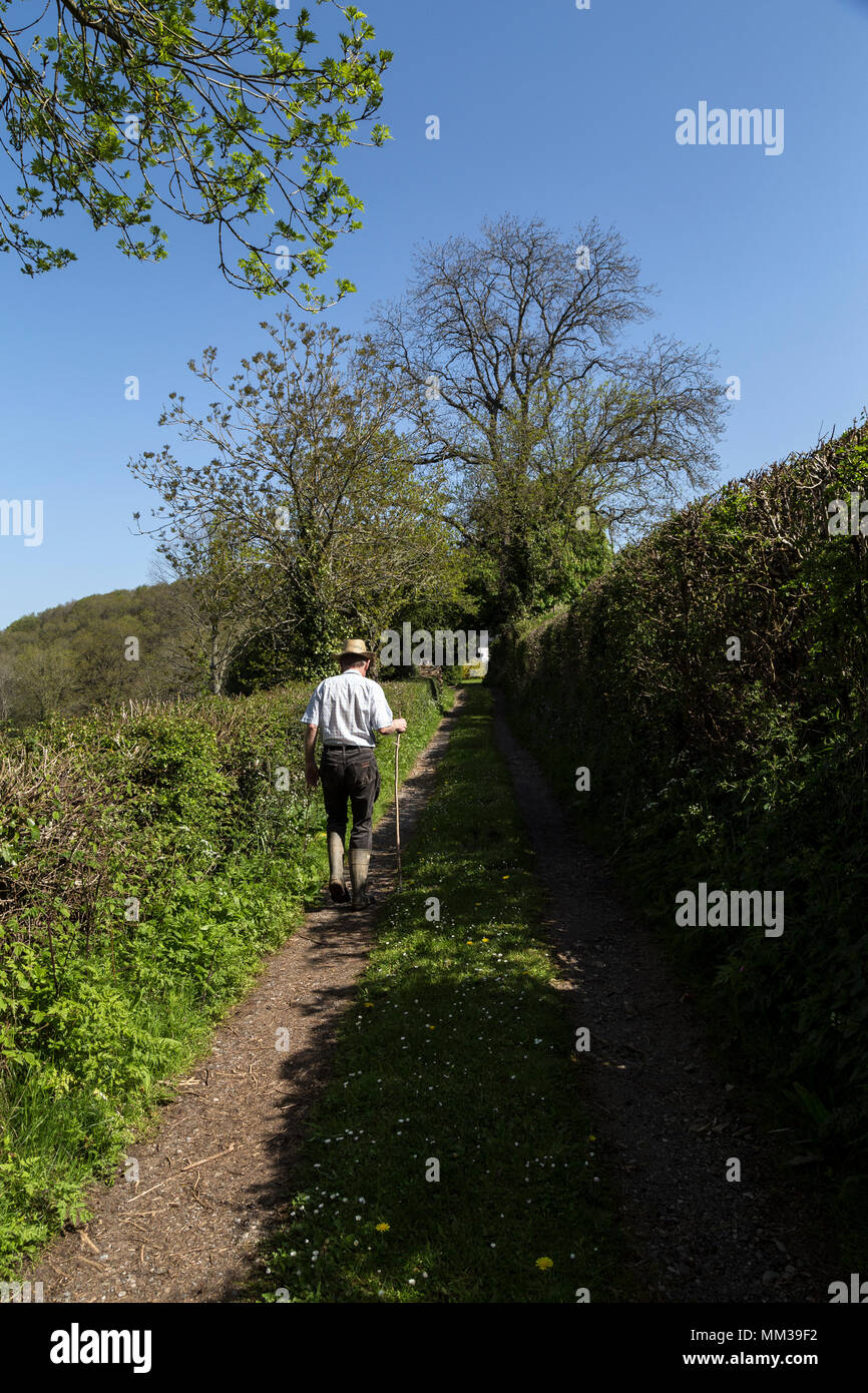 Combien de miles par jour dois-je besoin de marcher pour frapper 1000 ,randonnées,Balades,pays,Devon,Dunsford Teign Valley,UK, Banque D'Images