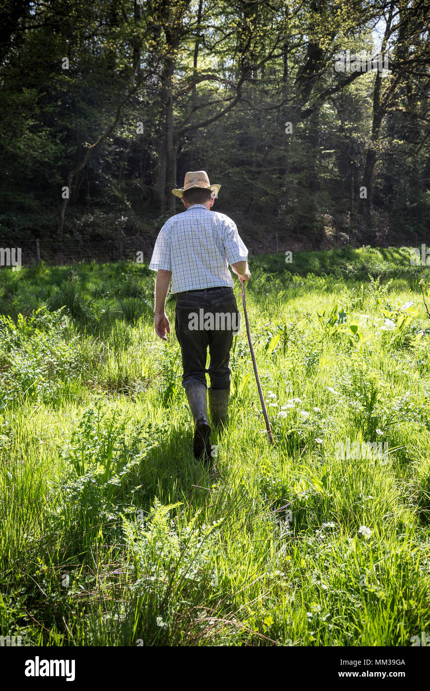 Combien de miles par jour dois-je besoin de marcher pour frapper 1000 ,randonnées,Balades,pays,Devon,Dunsford Teign Valley,UK, Banque D'Images