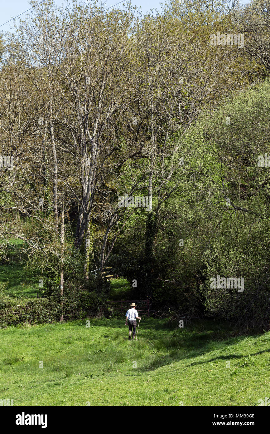 Combien de miles par jour dois-je besoin de marcher pour frapper 1000 ,randonnées,Balades,pays,Devon,Dunsford Teign Valley,UK, Banque D'Images