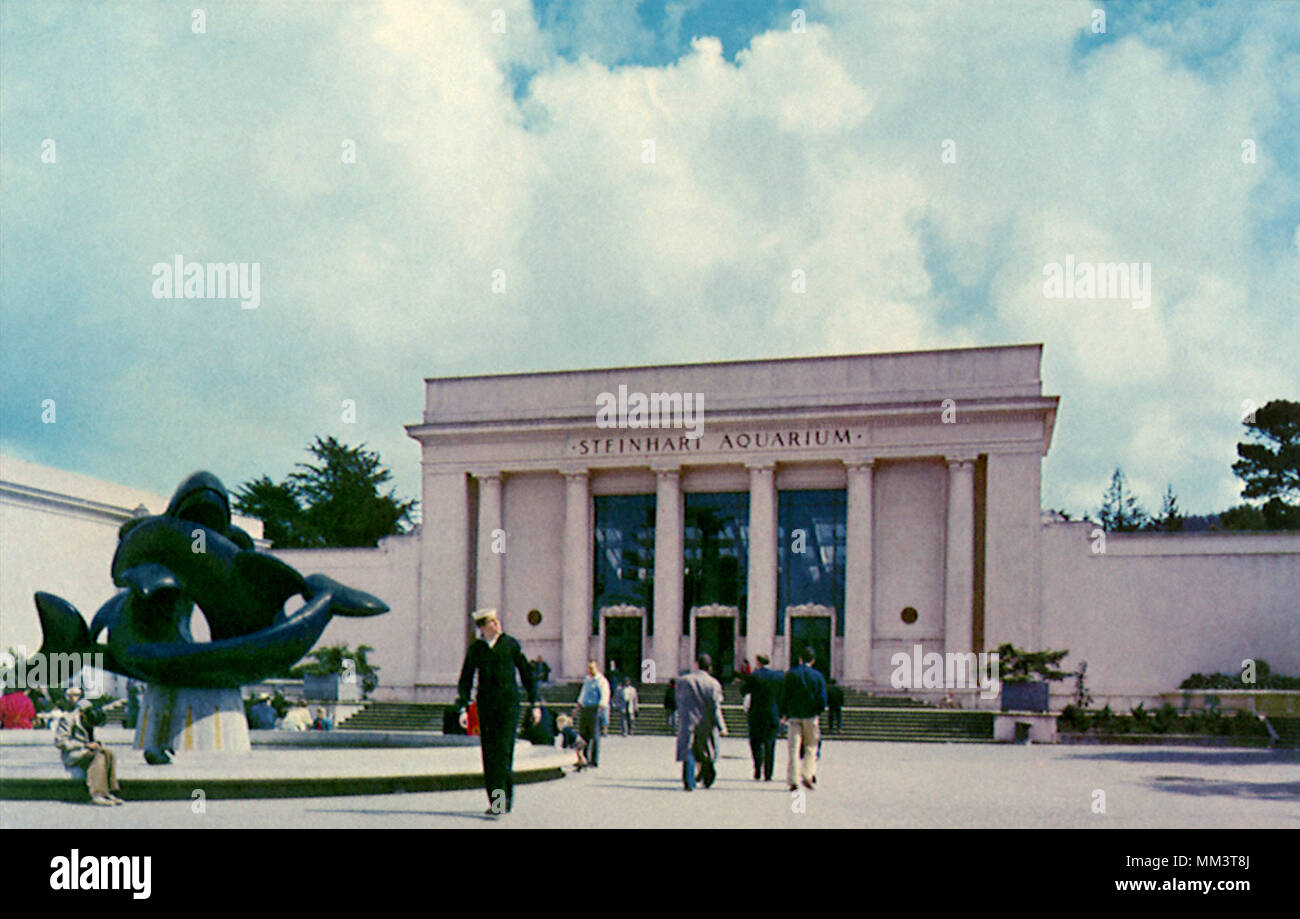 Aquarium Steinhart. San Francisco. 1965 Banque D'Images