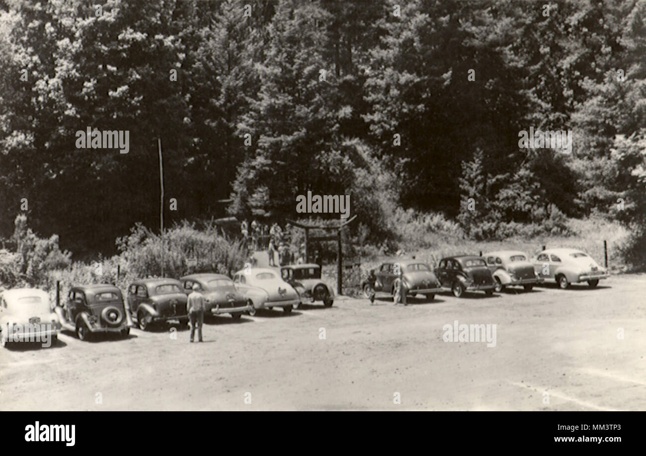 Entrée de Mystery Spot. Santa Cruz. 1950 Banque D'Images