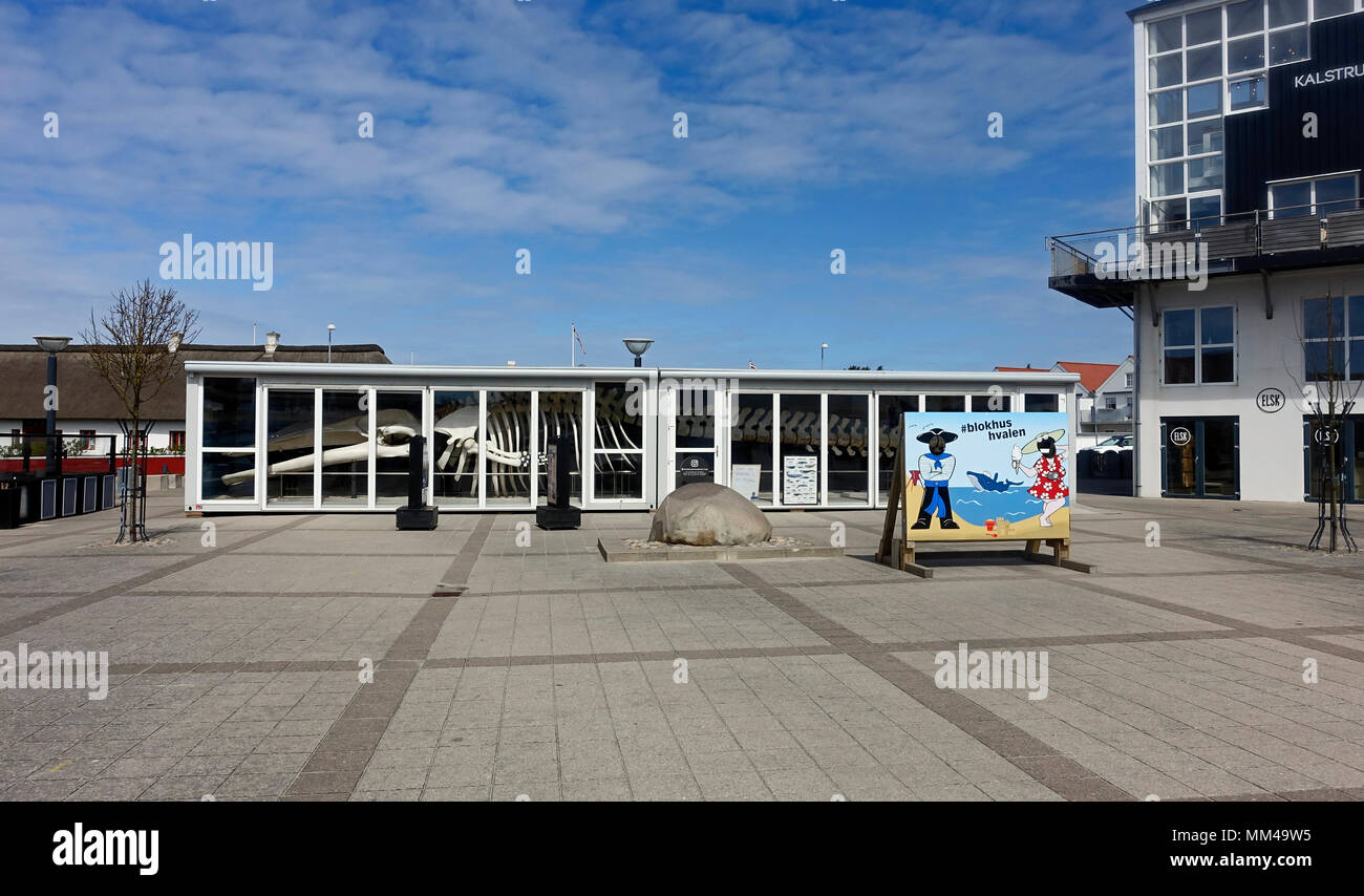 Maison de verre avec le squelette de Blokhus Hvalen à Blokhus Jutland Danemark Europe Banque D'Images