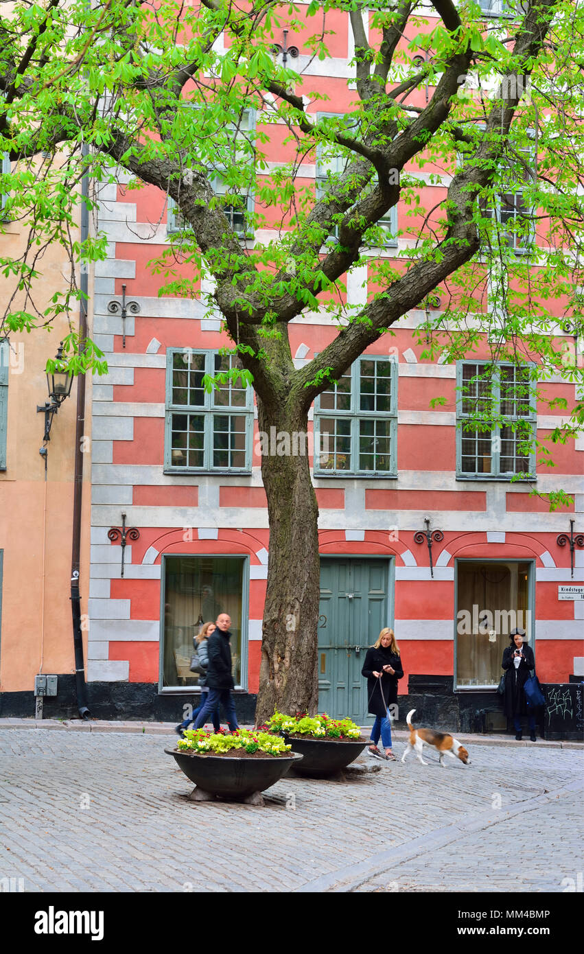 Kindstugatan à Gamla Stan, la vieille ville de Stockholm. La Suède Banque D'Images