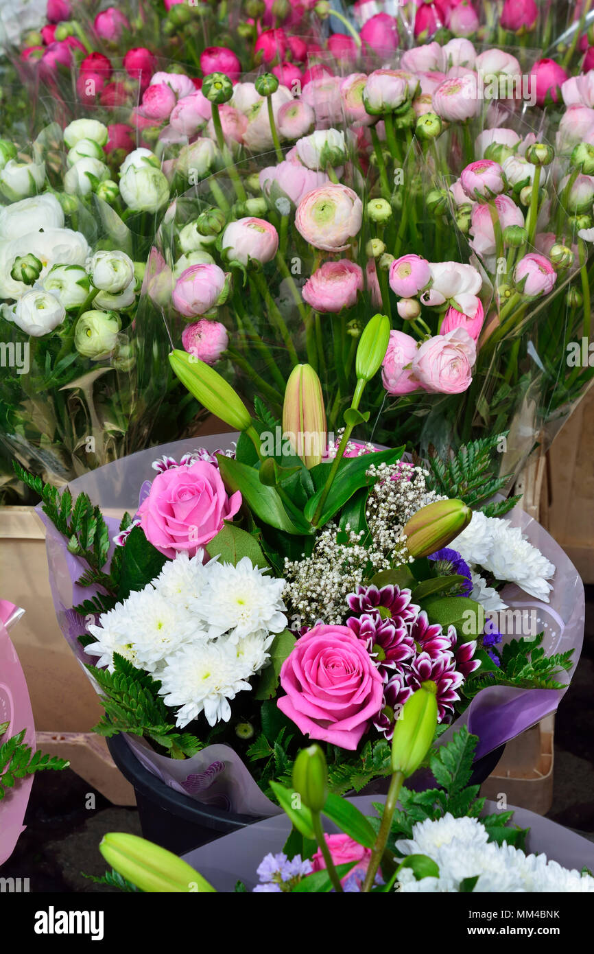 Des fleurs dans la rue Hotorget marché. Stockholm, Suède Banque D'Images