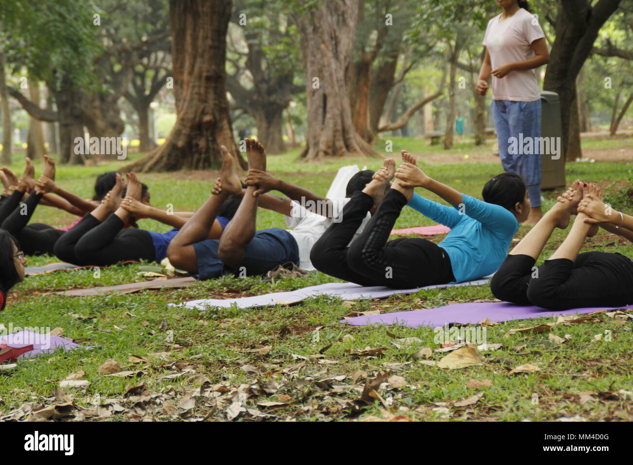 Groupe de jeunes hommes et femmes accomplissant yoga Yoga à Cubbon Park, à Bangalore. Banque D'Images