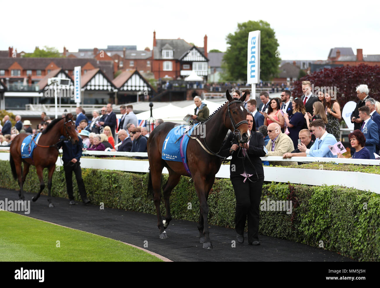 Arthur's Spirit dans la parade avant l'anneau Groupe stellaire Agnes Lily Enjeux Conditions au cours de la Journée de la ville 2018 Boodles Festival Mai à l'hippodrome de Chester. Banque D'Images