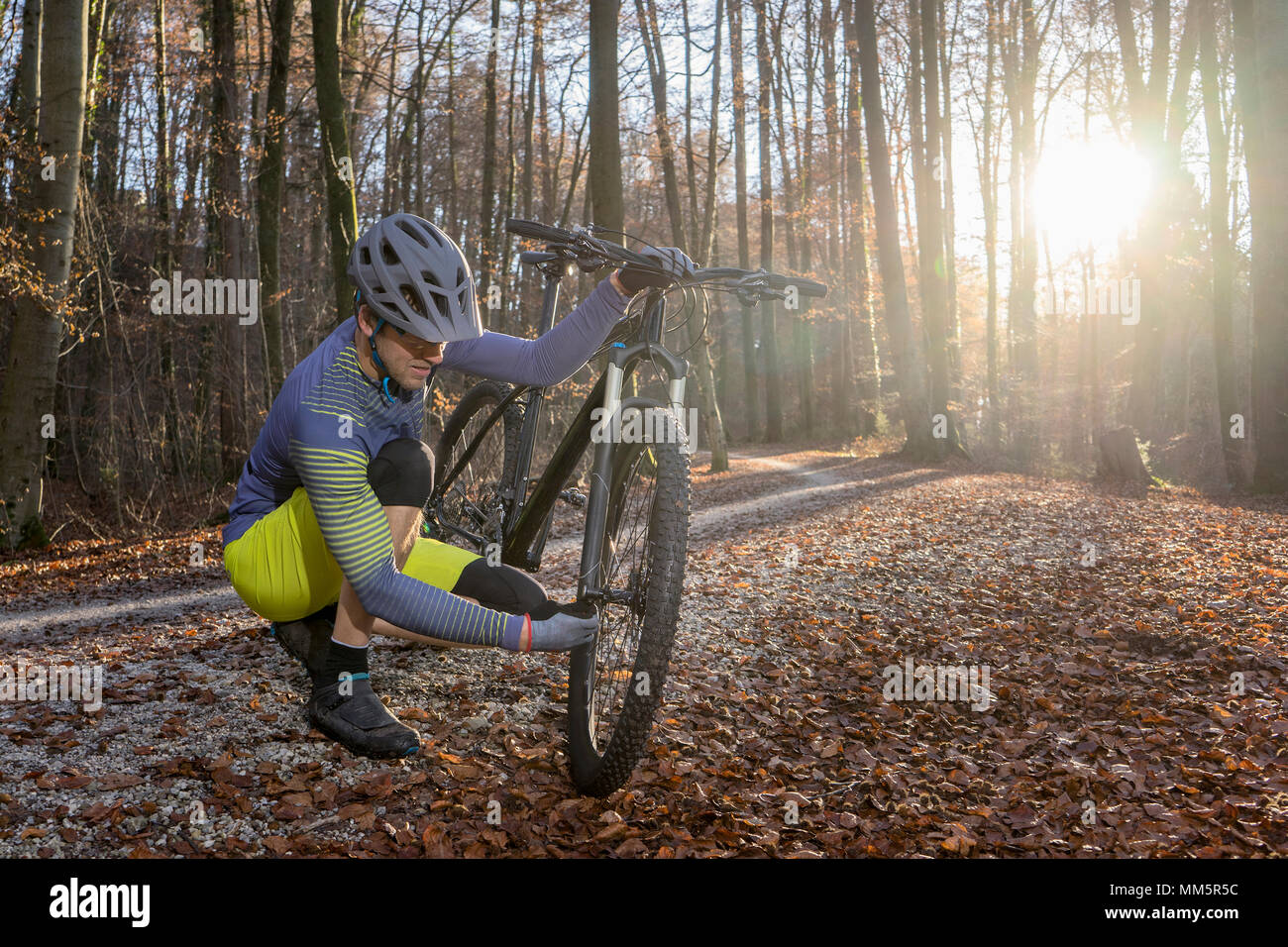 Fixation roue de vélo de montagne avant de son vélo sur chemin forestier, Bavière, Allemagne Banque D'Images
