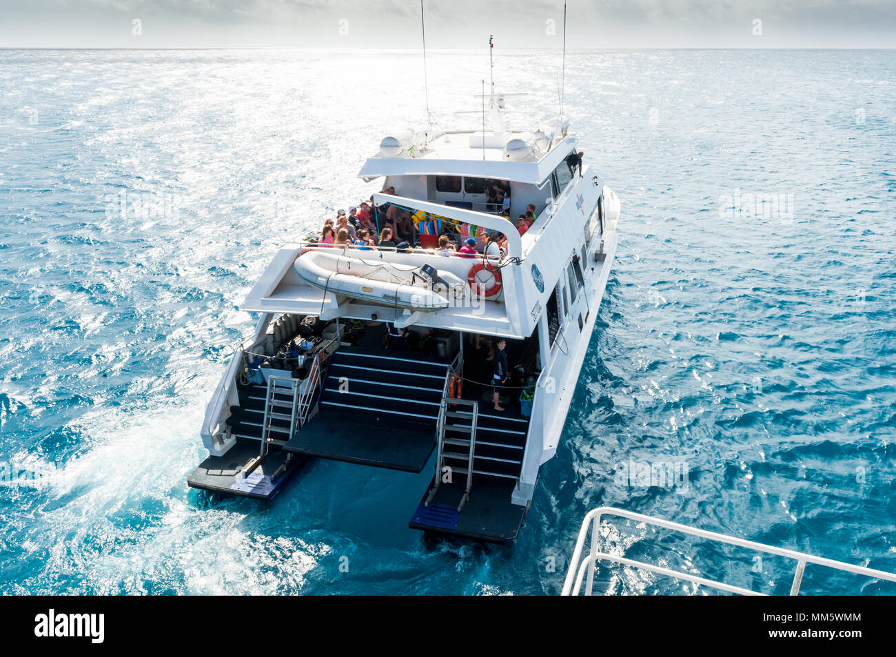 Les plongeurs et les vacanciers à bord d'un bateau de plongée à bord en direct sur la Grande Barrière de Corail, Queensland, Australie. Banque D'Images