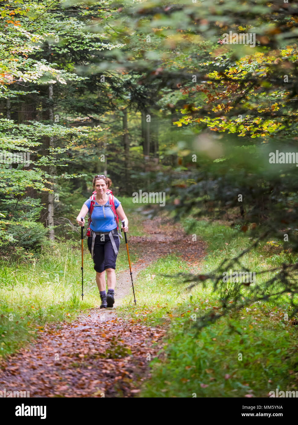 Femme en randonnée dans le Nord de la Forêt Noire, Bad Wildbad, Bade-Wurtemberg, Allemagne Banque D'Images