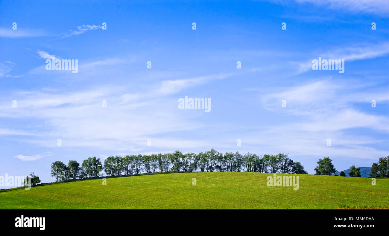 L'été une colline bordée d'arbres contre un ciel bleu Banque D'Images