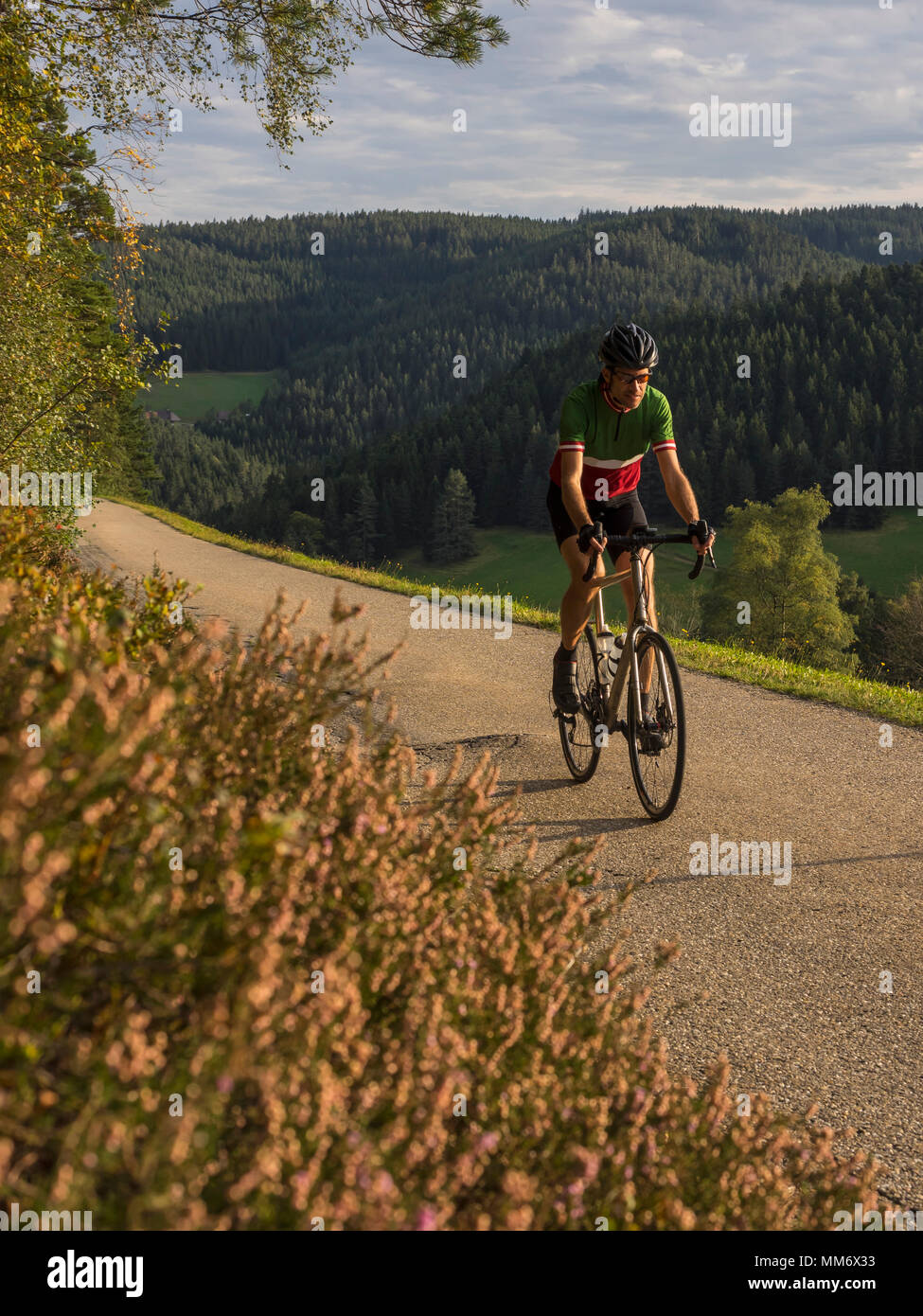 Vélo de course homme monté sur tour à vélo au milieu de la Forêt Noire, Allemagne Banque D'Images