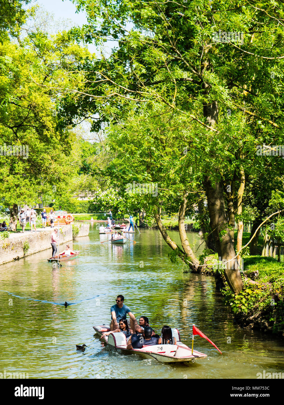 Barques, rivière Cherwell, Christchurch Meadow à pied, Christ Church, Oxford, England, UK, FR. Banque D'Images