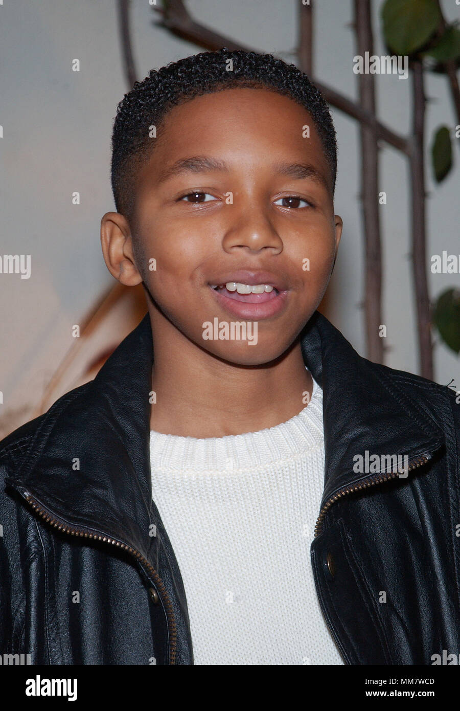 Jay Dee Daniels (Le Hughleys) arrivant à la Television Critics Association fête de clôture avec le spectacle à l'UPN Twin Palms Restaurant à Pasadena, Los Angeles. 14 janvier, 2002.  DanielsDeeJay TheHughleys jpgDanielsDeeJay TheHughleys06.06 Red Carpet Event, Vertical, USA, Cinéma, Célébrités, photographie, Bestof, Arts, Culture et divertissement, Célébrités Topix fashion / Vertical, Best of, événement dans la vie d'Hollywood, Californie - Tapis rouge et en backstage, USA, Cinéma, Célébrités, cinéma, télévision, Célébrités célébrités musique, photographie, Arts et culture, Bestof Ent Banque D'Images