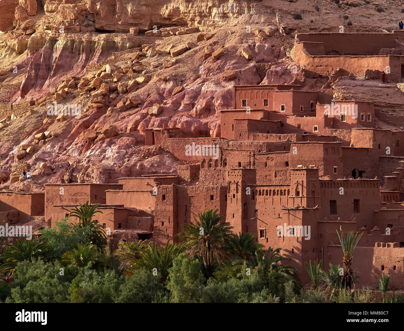 Anciens bâtiments de medina Tinghir, rose avec des maisons hautes fenêtres étroites bordées de palmiers, le Maroc. Banque D'Images