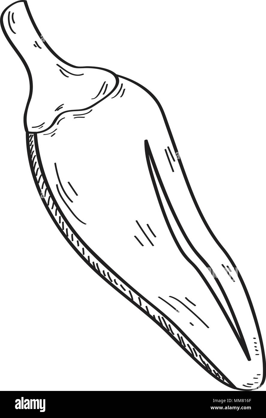 L'icône de piment sketch Illustration de Vecteur