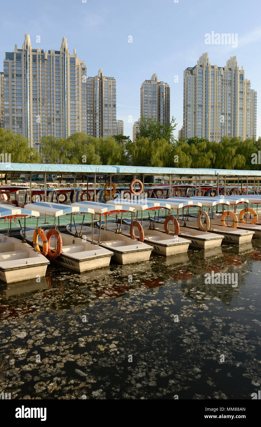 Location de bateaux sur le lac du Parc de Chaoyang à Beijing, en Chine, avec les tours de Palm Springs derrière la résidence Banque D'Images