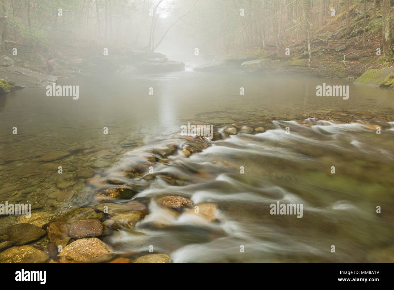 Trou Bleu Peekamoose enveloppée de brouillard de printemps sur le Rondout Creek dans la région de Denning, New York. Banque D'Images